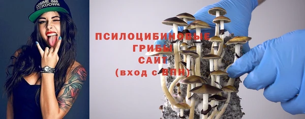 хмурый Покачи