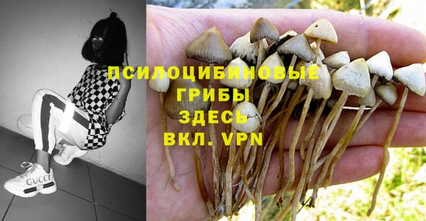 прущие крисы Покровск