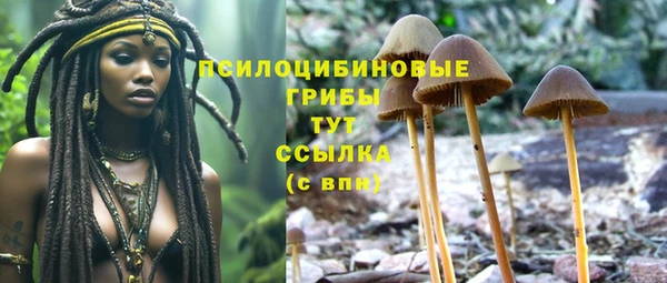 соль курить ск Корсаков