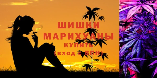 хмурый Покачи